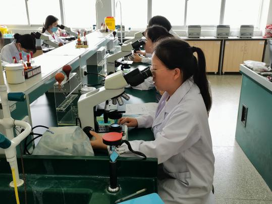 IMG_1669(20210601-133903)