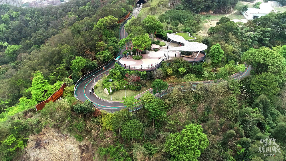 △郊野福道日?？土髁棵刻旒s1.3萬(wàn)人次。（總臺(tái)央視記者范本輝拍攝）